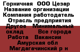 Горничная. ООО Цезар › Название организации ­ Компания-работодатель › Отрасль предприятия ­ Другое › Минимальный оклад ­ 1 - Все города Работа » Вакансии   . Амурская обл.,Магдагачинский р-н